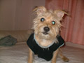 Bily (el rápido)