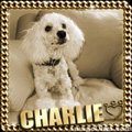 Charlie