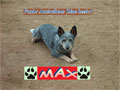 Max